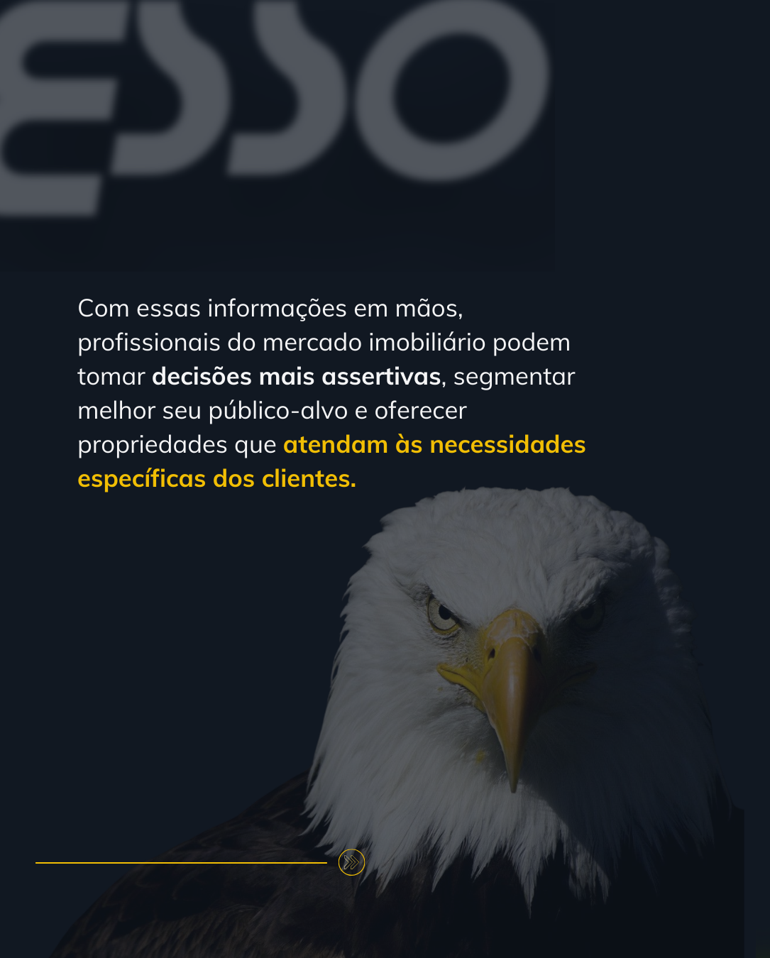 Projeto Growth Kali
